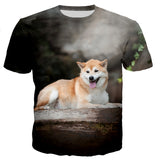 Fashion Print Casual Short Sleeve Tops For Men And Women