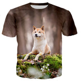 Fashion Print Casual Short Sleeve Tops For Men And Women